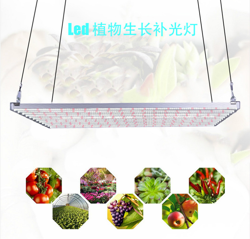 深圳植物燈廠家直銷300W八爪魚植物生長燈 仿太陽光全光譜植物補(bǔ)光燈