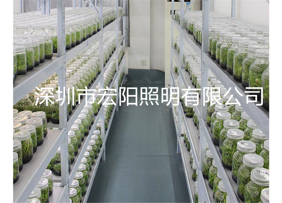 led植物組培燈 植物組培燈管  植物組培燈管 組培專用燈管 溫室組培植物燈管