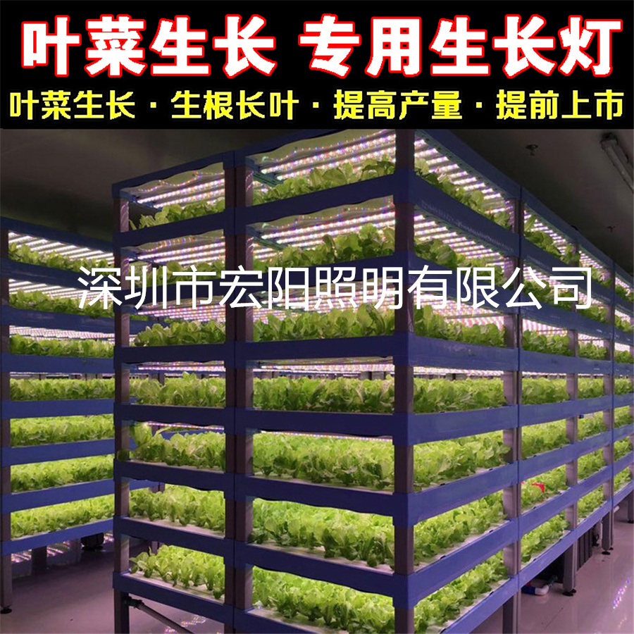 植物照明公司供應(yīng)溫室植物組培燈具 大棚水培植物燈 蔬菜水培燈管