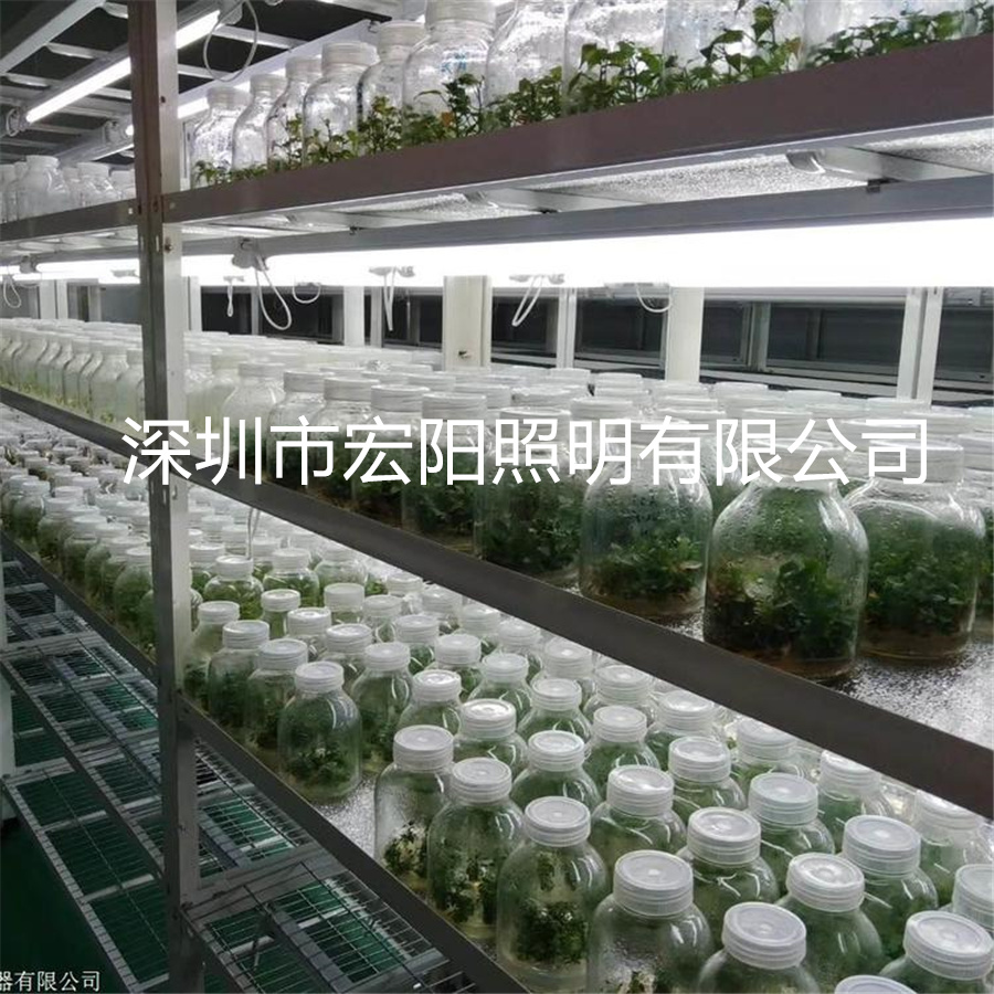 led植物照明燈 led植物組培燈管 18W植物組培燈管 T8防水植物燈管