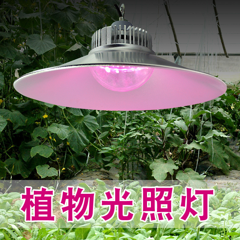 50W大棚植物照明工礦燈 大棚led植物生長燈 火龍果生長燈 蘭花生長補光燈