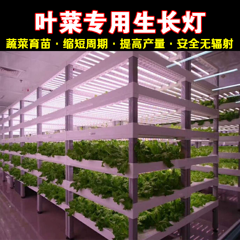 植物工廠蔬菜補(bǔ)光燈 溫室水培葉菜生長專用燈 t8植物燈管 紅藍(lán)比例補(bǔ)光燈管