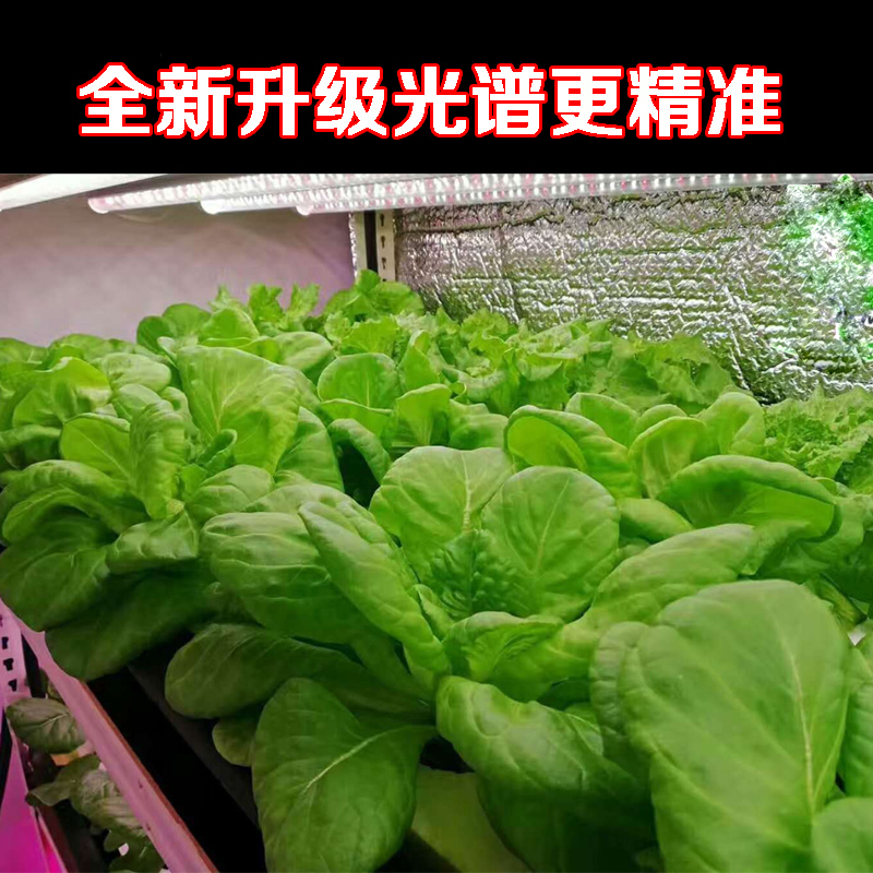 防太陽光植物燈管 蔬菜大棚補光燈 溫室水培葉菜補光燈 t8全光譜植物燈管