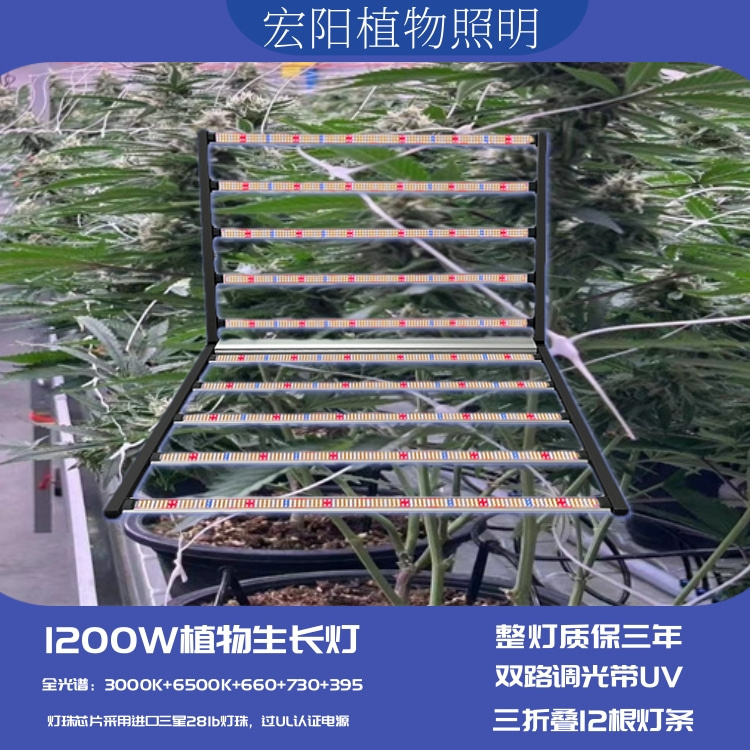 植物生長(zhǎng)燈廠家直銷1000W八爪魚植物補(bǔ)光燈 出口泰國(guó)植物農(nóng)場(chǎng)麻藥種植燈