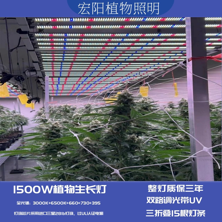 全光譜1500W植物生長燈 大棚種植蔬菜植物補(bǔ)光燈 出口美國大棚藥材種植燈